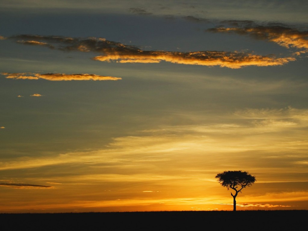 Amanecer en el Masai Mara
